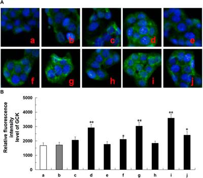 Changes in metabolites in raw and wine processed Corni Fructus combination metabolomics with network analysis focusing on potential hypoglycemic effects